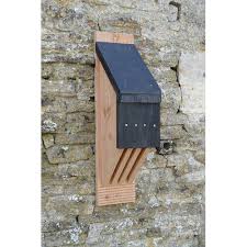 Gite Pour Chauve Souris Lpo Nichoir Chauve Souris Abri Chauve Souris Chauve Souris