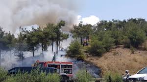 Φωτιά στο σέιχ σου, θεσσαλονίκη 2012. Nwmjizh4otcvim