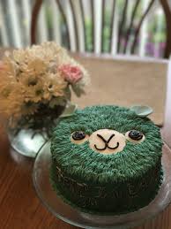 Llama Alpaca Birthday Cake Make Birthday Cake Animal Cakes Cake Decorating