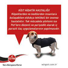 kisthidatik winpet yarakoruyucukorse mutlupatiler www winpet com tr www winpet eu kedi