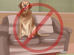 Lately ive be getting a hive on my face (like once a week), it only stays for like a half hour but its really embrassing. 3 Ways To Get Rid Of Hives On The Face Wikihow