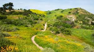This is a sprawling regional park in the chino hills. Santiago Oaks Regional Park Oc Parks