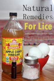 What You Need To Know About The Super Lice Outbreak And How To Treat Them Lice Remedies Natural Healing Remedies Natural Remedies