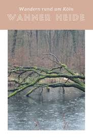 Auf Der Huhnerbruch Tour Durch Die Wahner Heide Wandern Auszeitenrundum Koln Meinnrw Outdoor Wandernkoeln Wochenende Aus Reiseziele Ausflug Ausflug Nrw