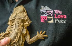 Your trusted source for zoo quality exotics from around the world! Reptiles Exotics We Love Pets