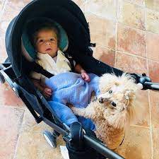 She is also the wife. Clarissa Ward Rollin With My Homie Truffleandezra Bff Brotherfromanothermother By Auntie Toy Aka Thompsonvic Facebook