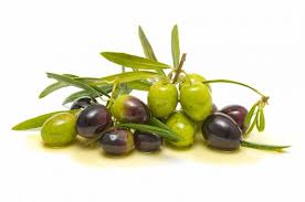 Olive Oil Pomace Kosher Non Gmo