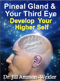 Pineal Gland and Third Eye: Develop Your Higher Self by Jill Ammon-Wexler