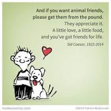 Looking for the best dog quotes and sayings? 130 Rescue Dogs Ideas Dogs Rescue Dogs I Love Dogs