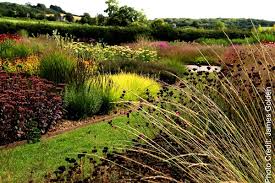 Thomas, a leading voice in ecological landscape design, has designed landscapes for the u.s. Re Imagining Nature A Review By James Golden Of Planting In A Post Wild World Thinkingardens