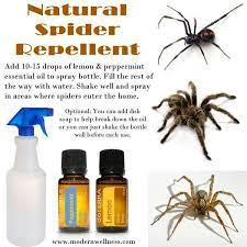 Healthy Living Essential Oils Financial Freedom Spiders Repellent Natural Spider Repellant Peppermint Essential Oil