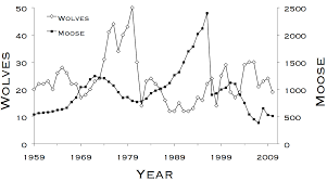 From these remains the researchers can pick apart the status and overall health of the moose. The Population Biology Of Isle Royale Wolves And Moose An Overview The Wolves And Moose Of Isle Royale