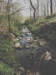 Desvre Nature Beautiful Nature Nature Beauty