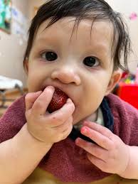 Typical days food for my 10 month old twins. They have a sandwich basically  everyday for lunch, they love it but I want to switch it up; however I'm  getting nervous about