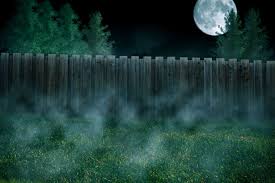 2.1 prévoir le nombre de plants. Faut Il Vraiment Jardiner Avec La Lune