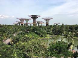 Book Your Tickets Online For Gardens By The Bay Singapore See 28 788 Reviews Articles And 22 929 Photos Of Ga Southeast Asia Gardens By The Bay City Garden
