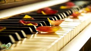 Http Www Youtube Com Watch V Oehlhnkqcxa Http Www Youtube Com Watch V Wi1xexdwvf0 Http Www Youtube Com Watch V Meditation Music Calming Music Piano Music