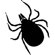 Visit reliable pest control inc. Pest Control Termite Control Rodent Removal Cape Coral Naples Fort Myers Fl Termite And Pest Control Inc