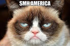 Grumpy Cat Not Amused Meme Imgflip