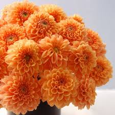 Flowers In Season January Flower Centerpieces Seasonal Flowers Flowers