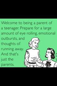 Everything you don't want to happen will happen, and you might find yourself begging for privacy and alone time. Funny Quotes About Parenting Teens Quotesgram
