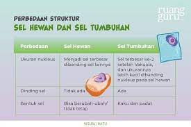 Check spelling or type a new query. Struktur Struktur Sel Beserta Fungsinya Biologi Kelas 11