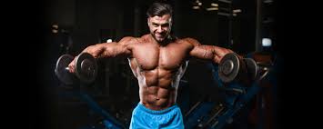 Image result for Shoulder Strength Exercises
