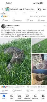 Still looking for anyone who has seen my fur baby 🥺