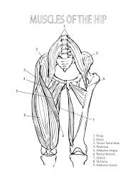 The shoulder muscles play a large role in how we perform tasks and activities in daily life. The Complete Yoga Anatomy Coloring Book Lynch Katie 9781848194205 Amazon Com Books