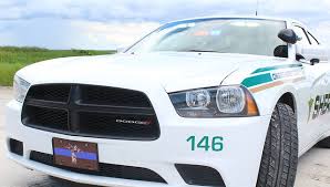 Image result for Sheriffs Tan 2018 Fleet