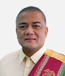 UP Diliman REPS Manual