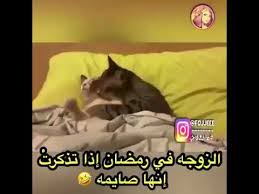الزوج في رمضان اذا تذكرت انها صايمه ههه تحشيش رمضان Youtube