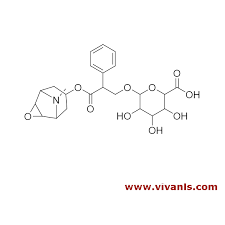 Image result for Scopolamine