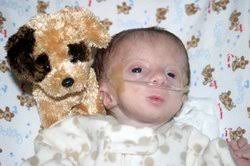 Tristan Asher Hostetter (2007-2008)