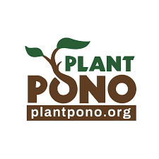 Image result for Carissa praetermissa