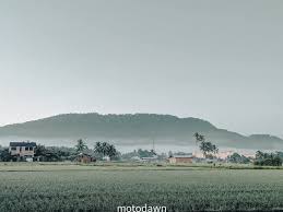 Profile for MotoDawn