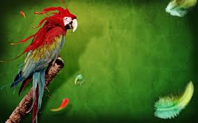 Undefined Creative Wallpapers For Laptop 50 Wallpapers Adorable Wallpapers Parrot Wallpaper Abstract Digital Art Nature Birds