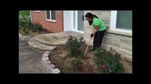 Designing a front yard can feel overwhelming at first, but the wide array of options is simply an opportunity to express yourself and create something truly unique. Double Knockout Roses On My Front Yard 2016 Youtube