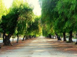 The Path 167 365 Ontario California Favorite Places Upland