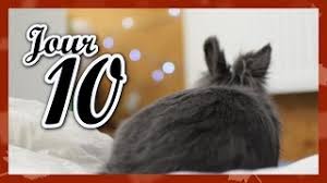 Reflect on how you've constructively handled stress in the past to develop an answer. Hamster 98 Pronunciations Of Hamster In French