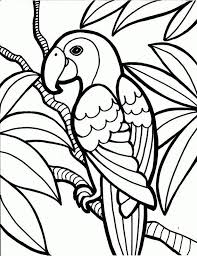 Medium Coloring Pages Animals Coloring Jungle Coloring Pages Bird Coloring Pages Easy Coloring Pages