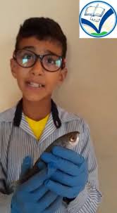 The grade 4 student , Abbas Ghaddar, presents the characteristics of fish.  Great Job dear!