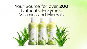 Image result for Aloe nuttii