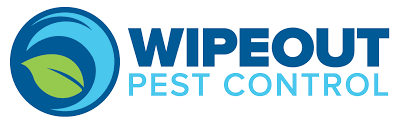 Located in asheville county tennessee providing pest wildlife control in hendersonville tennessee and the surrounding metro area. Wipeout Pest Control Hendersonville Gallatin Tn Ant Bed Bug Termite Control