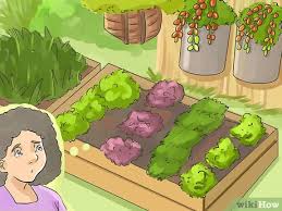 You might be among those unfortunate persons who are not allowed to have a vegetable garden wherever you so choose….such as in your front yard. How To Make A Small Vegetable Garden With Pictures Wikihow