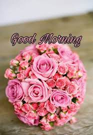 New good morning flowers images hd. Good Morning Flowers Images 2020 Best 166 New Collection