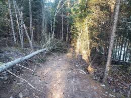 and he's off! 🥳🎉 The Railyard Snow Crew has begun grooming for fatbiking!  Things are looking up and hopefully we'll have a great season! We will  provide updates as they become available. #