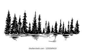 People have an innate curiosity about the natural world around them, and identifying a tree by its leaves can satisfy that curiosity. Hand Drawn Sketch Pine Forest Vector Stock Vector Royalty Free 1233369610