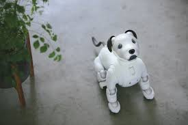 Sony Nin Efsane Robotu Aibo 20 Yil Aradan Sonra Geri Donuyor