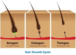 Tips for controlling hair fall 3. 31 Natural Hair Growth Remedies Natural Girls Rock